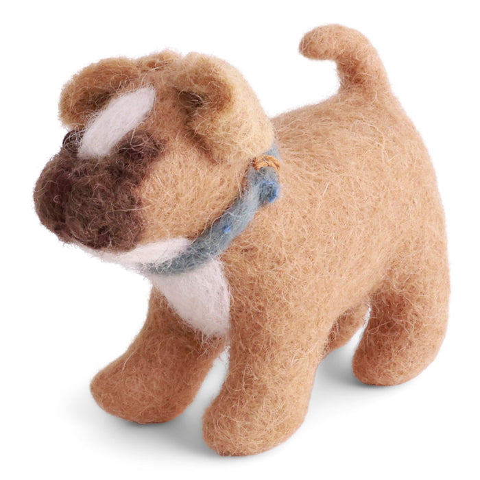 Gry & Sif - Dog, French Bulldog with Dog Collar