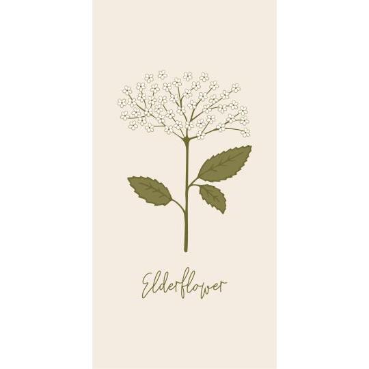 IB Laursen - Serviette Elderflower, 16 Stk.